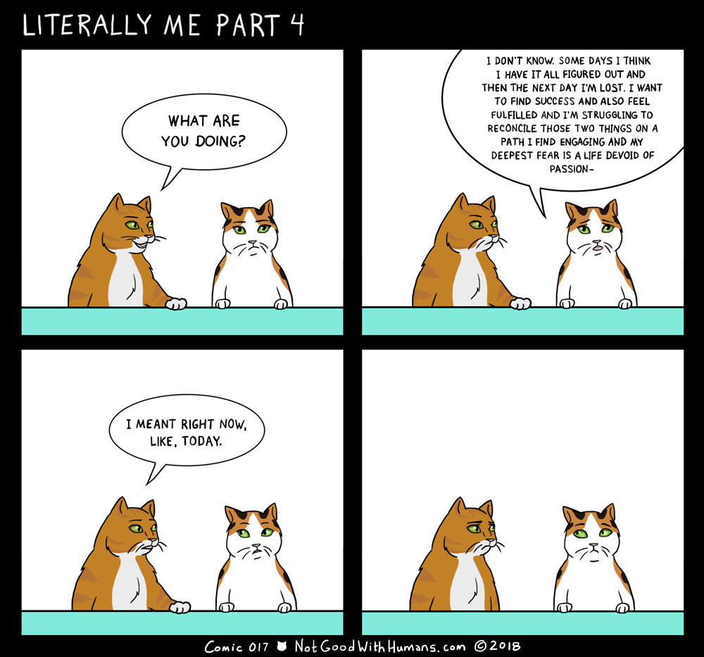 literally me part 4 not good with humans notgoodwithhumans.com cat cats introvert introverts