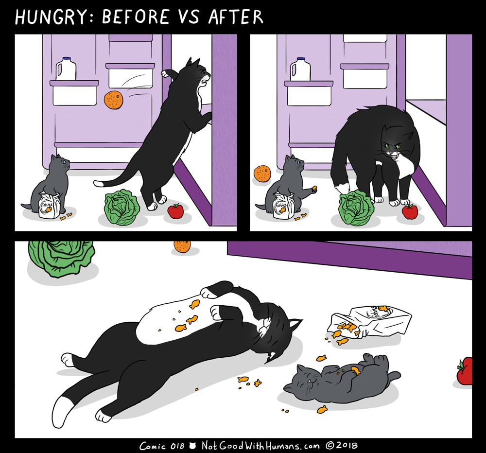 Hungry Before v After Not Good With Humans notgoodwithhumans.com cats cat introvert introverts 