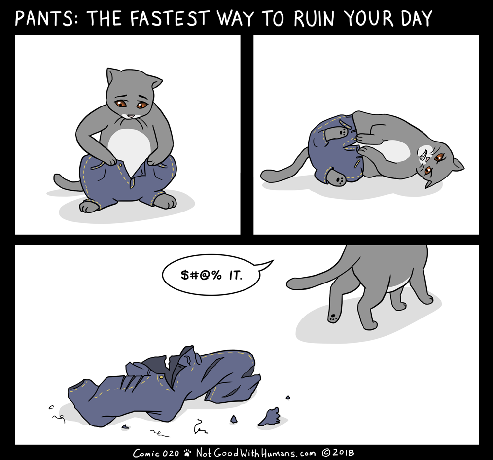pants cats cat not introvert introverts good with humans notgoodwithhumans ngwh literally me